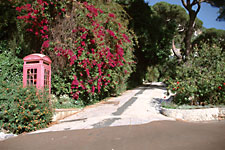 Botanischer Garten