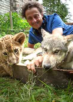 DER WOLF UND DER LÖWE